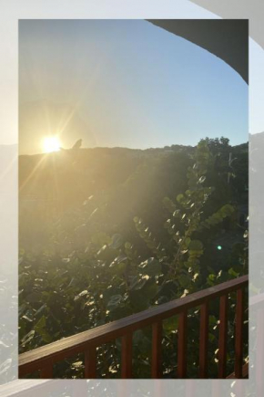 JAMAICA Like a Local, A Perfect Girls' Getaway with Curated Excursions